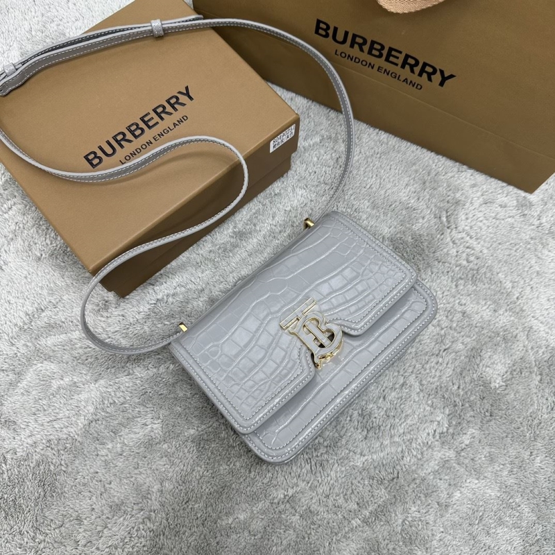 B**rry satchel bags